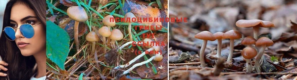 ALPHA-PVP Верхнеуральск