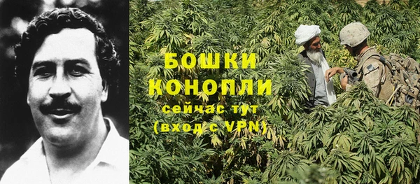 дурь Верхний Тагил