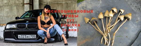 гашиш Бородино