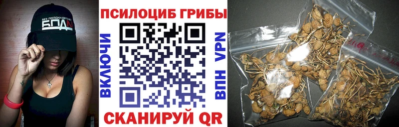 Купить  Инза  Псилоцибиновые грибы Psilocybe 